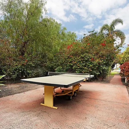 Hébergement de vacances La La Palma- 1 A *